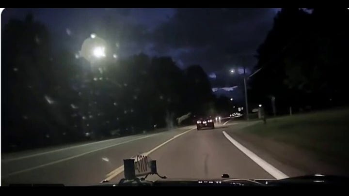 Pack of deer cross road in front of Michigan State Trooper