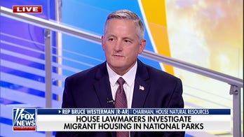 Rep. Westerman on the border crisis: This is one of the biggest tragedies our county is facing