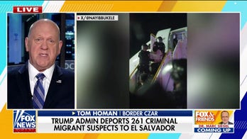 Tom Homan slams judge for ruling on migrant flight bound for El Salvador: 'Defies logic'