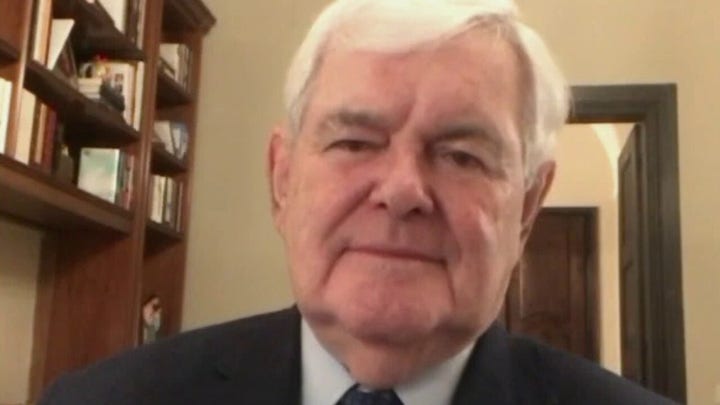 Gingrich: Georgia swing voters will turn against 'radical' Democrats