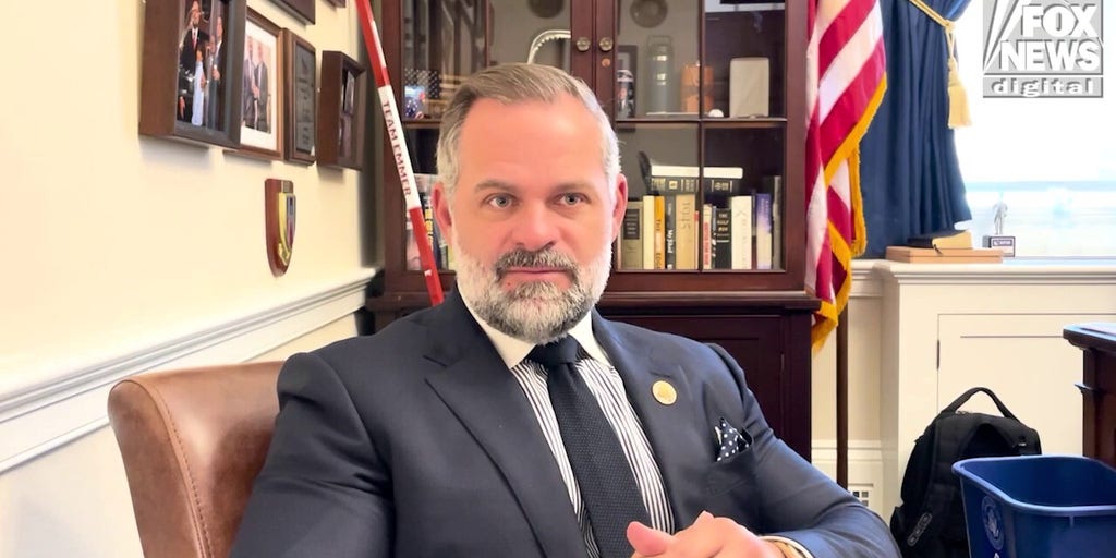 GOP lawmaker talks effort to make DOGE permanent