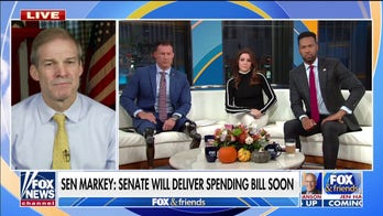 Jim Jordan torches Democrats 'crazy' spending bill: It'll 'make matters worse' as inflation concerns rise