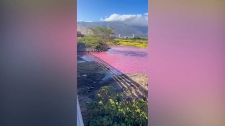 Hawaiian wildlife refuge pond turns bright pink, prompting scientists to investigate