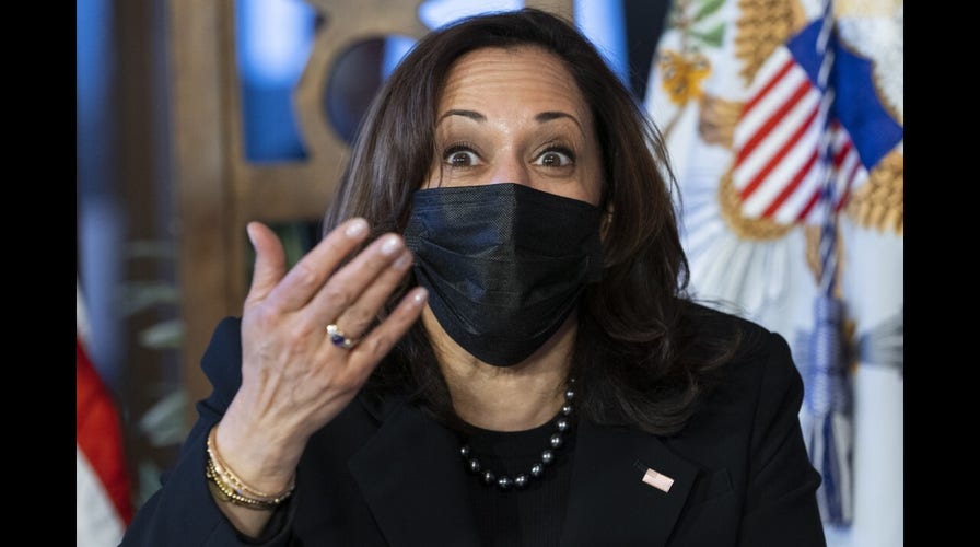 Harris in charge of border crisis but stays silent