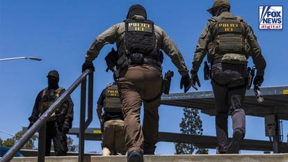 States have a 'good argument' in lawsuit against DHS' new public charge rule, expert says