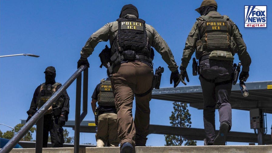 States have a 'good argument' in lawsuit against DHS' new public charge rule, expert says