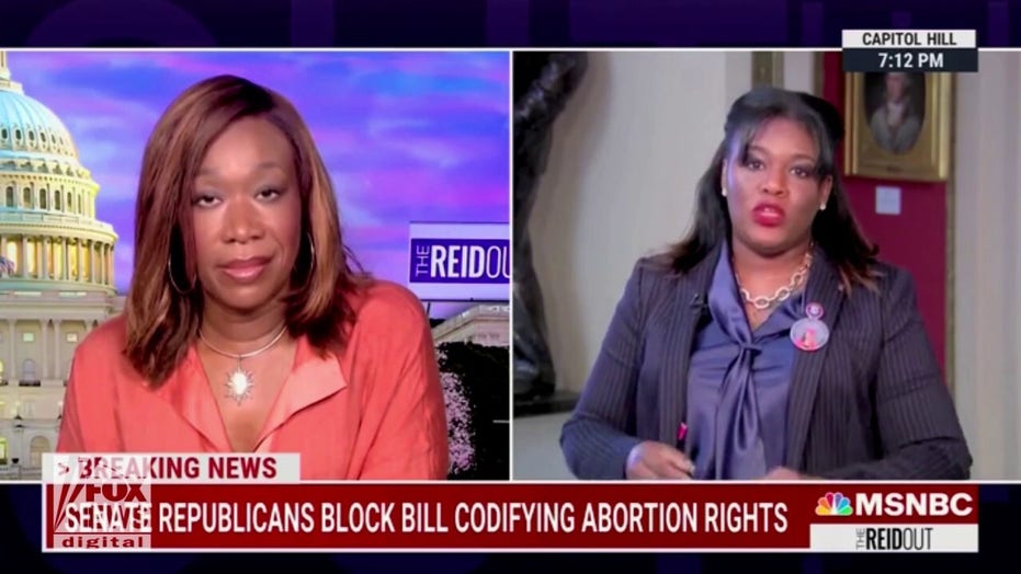 Cori Bush asks Joy Reid why there isn’t ‘sperm regulation legislation’ to control men’s bodies