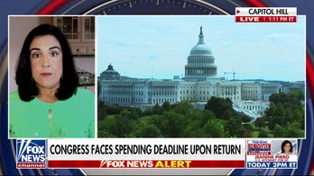  Rep. Malliotakis calls for ‘bipartisan’ work in Congress to avoid government shutdown 
