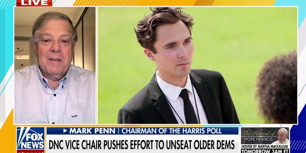 DNC vice chair is 'actively undermining' other Democrats, says Mark Penn