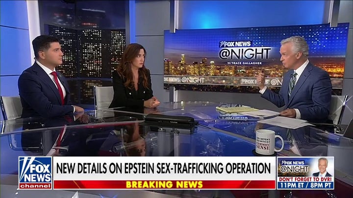 'Real scandal' is government, prosecutors dropping ball on Epstein case: Essayli