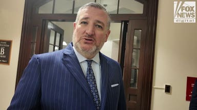 SEE IT: Ted Cruz unloads on Fauci, says ex-COVID czar should face jail time