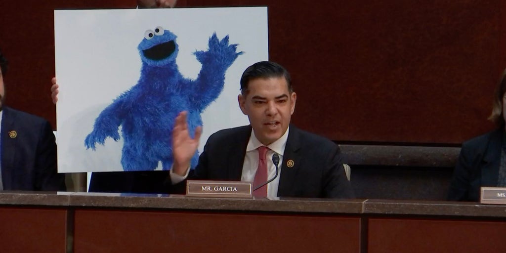 House Democrat mocks DOGE hearing with questions about Sesame Street characters