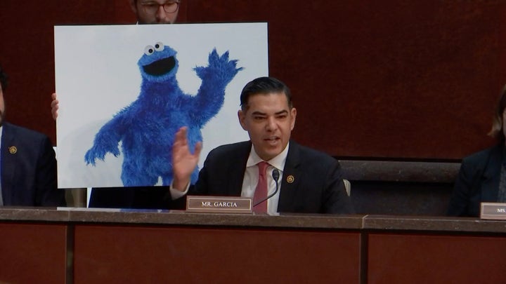 House Democrat mocks DOGE hearing with questions about Sesame Street characters