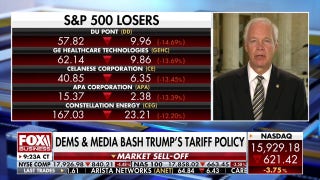 Trump's global tariff plan is a 'bold, risky move,' senator says - Fox Business Video