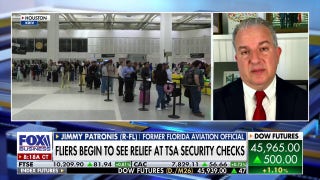 Senate Dems have 'Trump derangement syndrome,' catering to left-side of base, GOP rep says