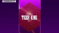 ‘Tiger King’ lawyer on Joe Exotic joining NFT craze 