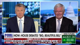 Gingrich on 'big, beautiful bill': Trump and the country will win today