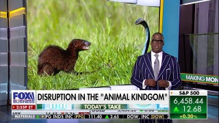 Charles Payne: This really seems 'improbable' to me