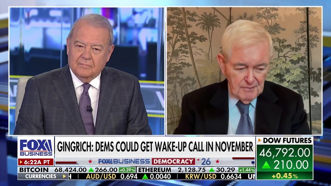 Gingrich slams Democrats as ‘crazy’ in explosive political warning