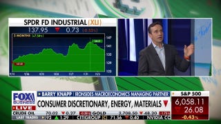 US banks have been turned into 'government bond funds': Barry Knapp - Fox Business Video