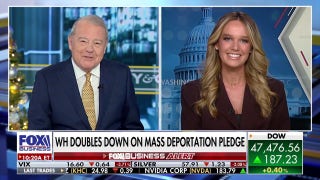 Afghan national linked to terror attack sparks outrage over Biden vetting failures