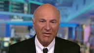 Kevin O'Leary reacts to Senate hearings: 'I was expecting good political theater and I got it'