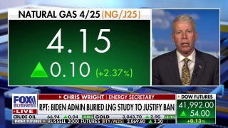 Energy Department is 'extremely disappointed' by Biden admin burying LNG study: Secretary Wright