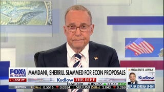 Larry Kudlow: Mamdani wants to give everything away for free