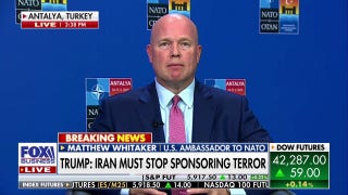 Trump is a 'peacemaker, and that is what he is doing on all fronts,' Matthew Whitaker says