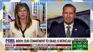 There won't be 'anything moving' in Congress until border action: Rep. Michael Waltz - Fox Business Video