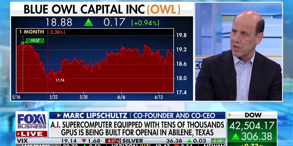 This is an excellent environment for Blue Owl, CEO says | Fox Business Video