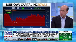 This is an excellent environment for Blue Owl, CEO says