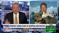 Dave Portnoy, Miss Peaches raise $250K for rescue dogs and shelters