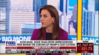Musk, DOGE offer unprecedented sneak peek behind Trump’s cost-cutting plan