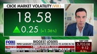 Market expert doesn't expect 2025 to be a big year for equities: 'Meager, erratic, humbling'