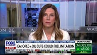 Biden admin depleted petroleum reserve to 'manipulate gas prices' before elections: Anne Bradbury