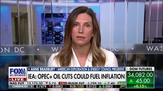 Biden admin depleted petroleum reserve to 'manipulate gas prices' before elections: Anne Bradbury - Fox Business Video