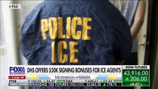 DHS official has message for Dems amid 'horrible' spike in ICE attacks
