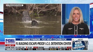 Former FBI special agent reveals whether she gives 'Alligator Alcatraz' a thumbs up