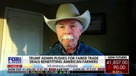 Trump hasn't focused on cattle industry amid fairer trade efforts, R-Calf USA CEO says 