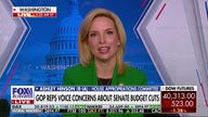 Democrats are 'capitalizing' on 'fear': Rep. Ashley Hinson