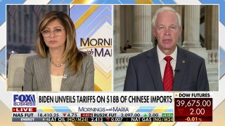 Tariffs, trade agreements are complex issues: Sen. Ron Johnson - Fox Business Video