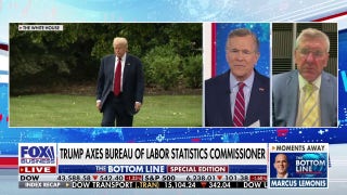 Trump’s latest axe ‘needed to be fired’ due to 'gigantic errors' in job numbers, says former Trump advisor