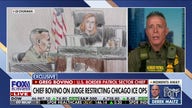 US Border Patrol chief decries 'pure, unadulterated violence' against ICE agents