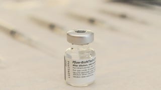 WHO's investigation into COVID-19 origin is 'a year too late': National security expert - Fox Business Video