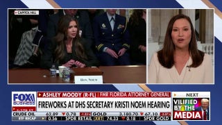 Democrats are trying to ‘distract’ from Trump admin ‘executing’ on promises to Americans, says Homeland Security Committee member