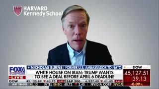 ‘Difficult’ for NATO allies to join war, but doesn’t mean they aren’t ‘valuable’: Former ambassador