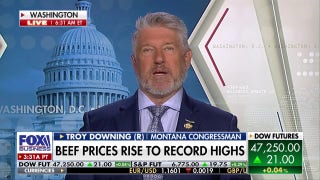 US beef industry in peril as herds shrink and prices surge