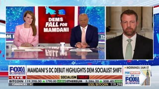 What we're seeing 'is the new Democrat Party' says one GOP lawmaker