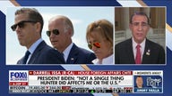Rep. Darrell Issa: Presence of Hunter Biden's actions represent criminal conspiracy